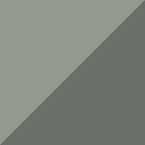TONAL AGAVE